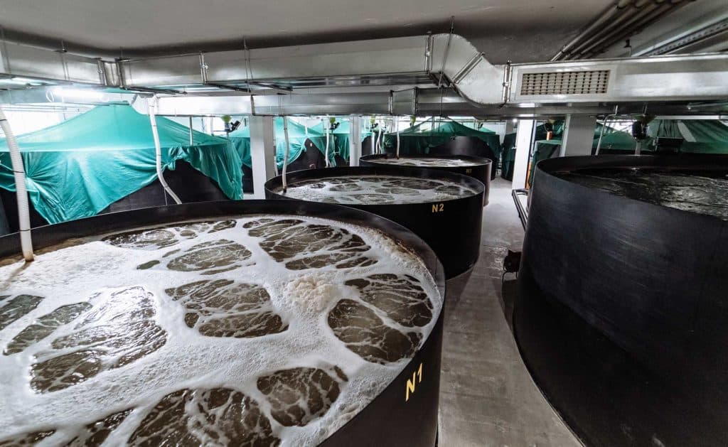 Hatcheries