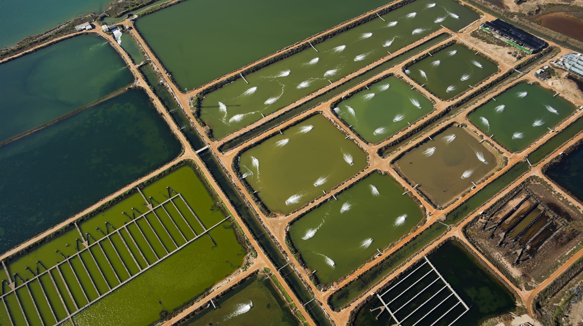 Intensive Farming