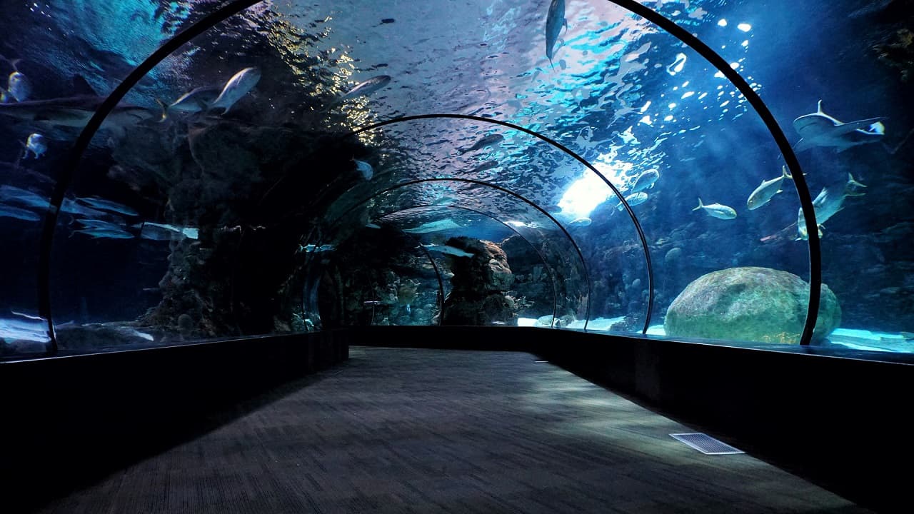 Industrial Aquariums
