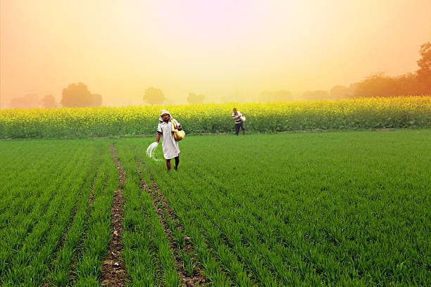 Smart water meters on agricultural farms